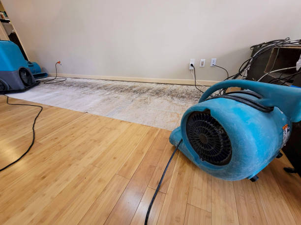 Professional Burst Pipe Water Damage technician working in Frisco, NC